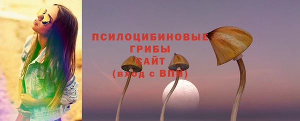 герыч Арсеньев
