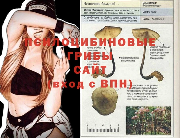 MDMA Premium VHQ Армянск