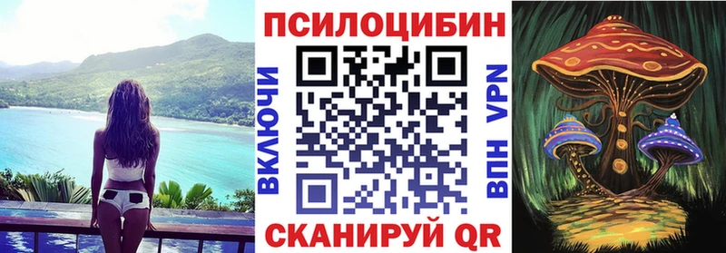 Псилоцибиновые грибы мицелий  Багратионовск 